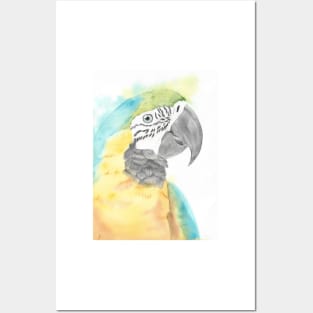 blue and gold macaw watercolor portrait bird parrot Posters and Art